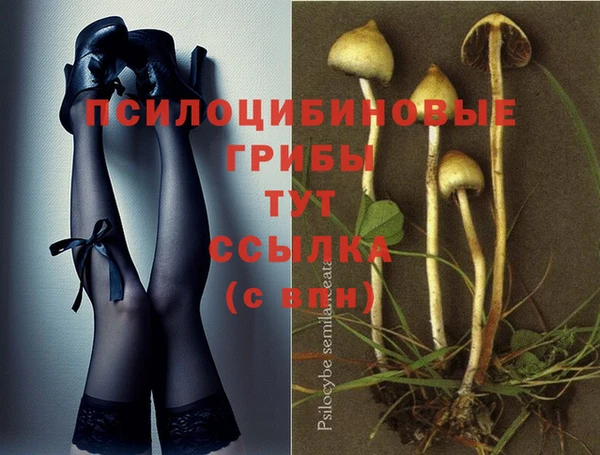прущий лед Армянск
