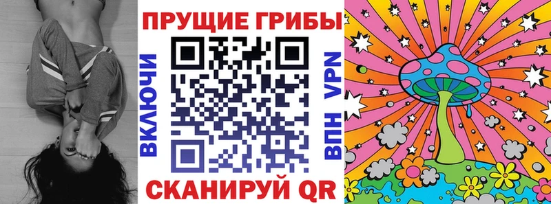 Псилоцибиновые грибы Psilocybe  Купить закладки  Белогорск 